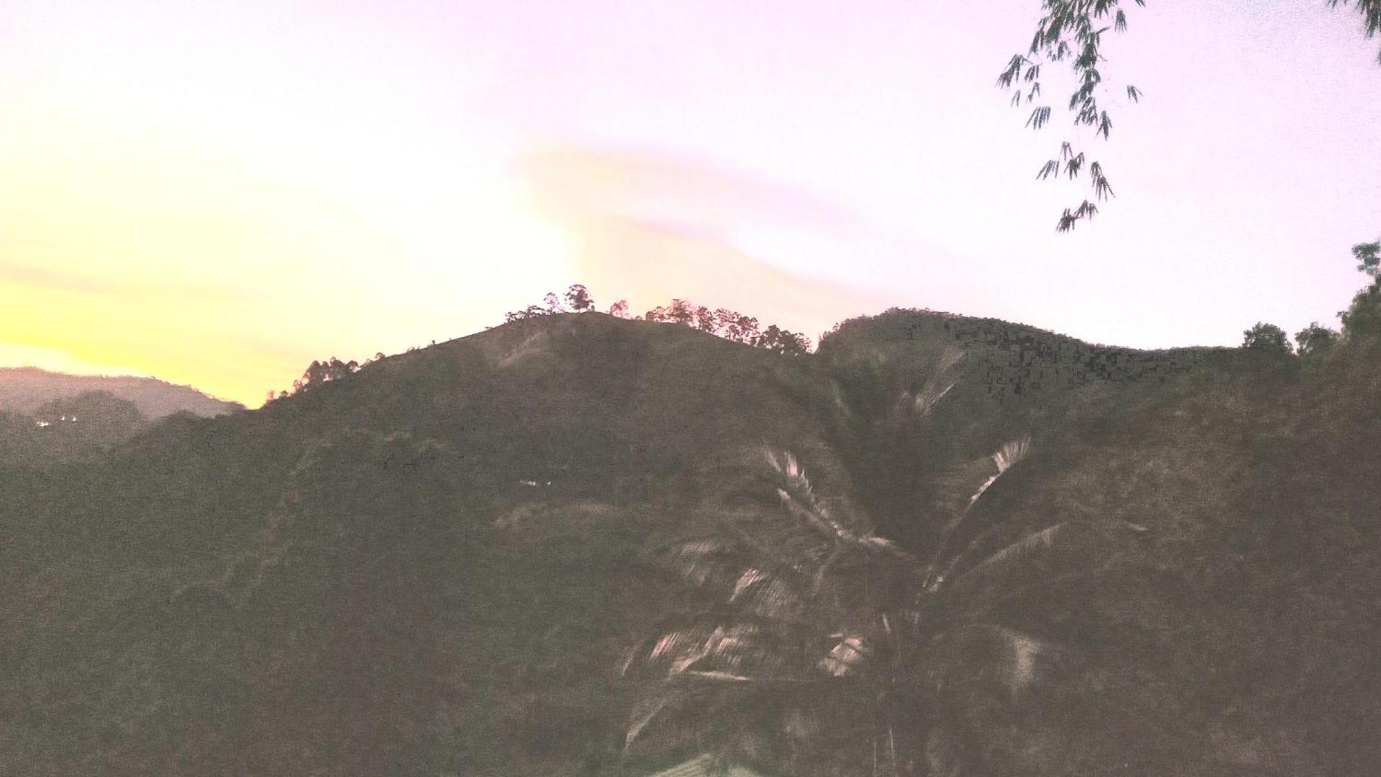 New Farmers Paradise Ella Kamer foto