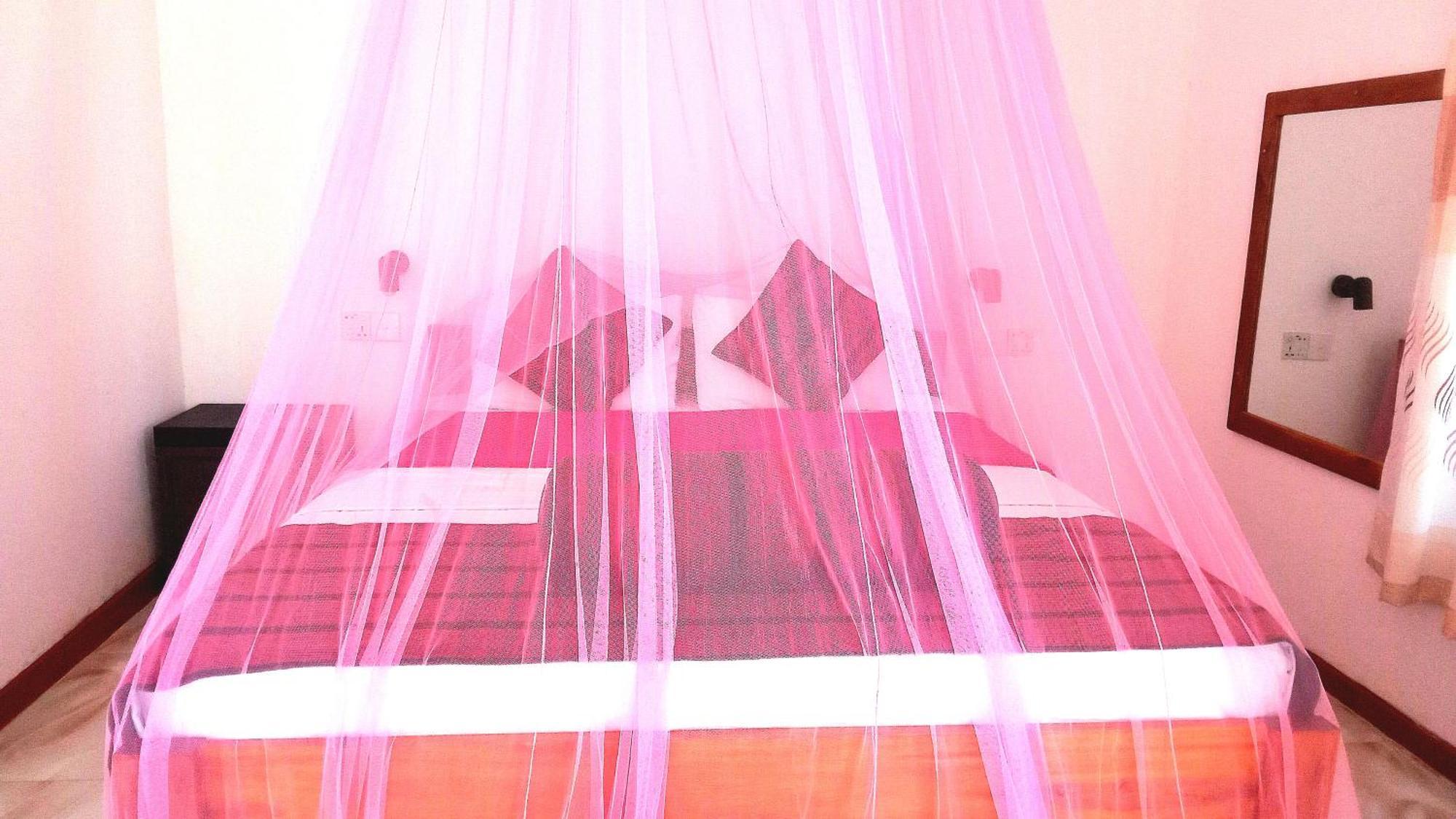 New Farmers Paradise Ella Kamer foto
