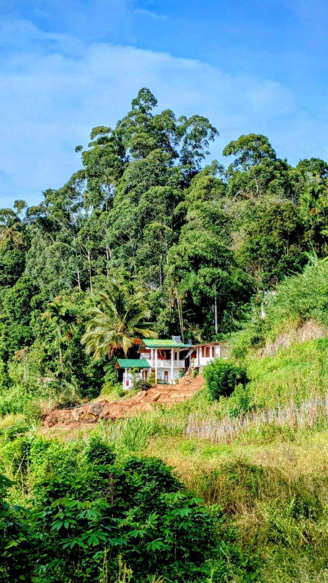 New Farmers Paradise Ella Buitenkant foto