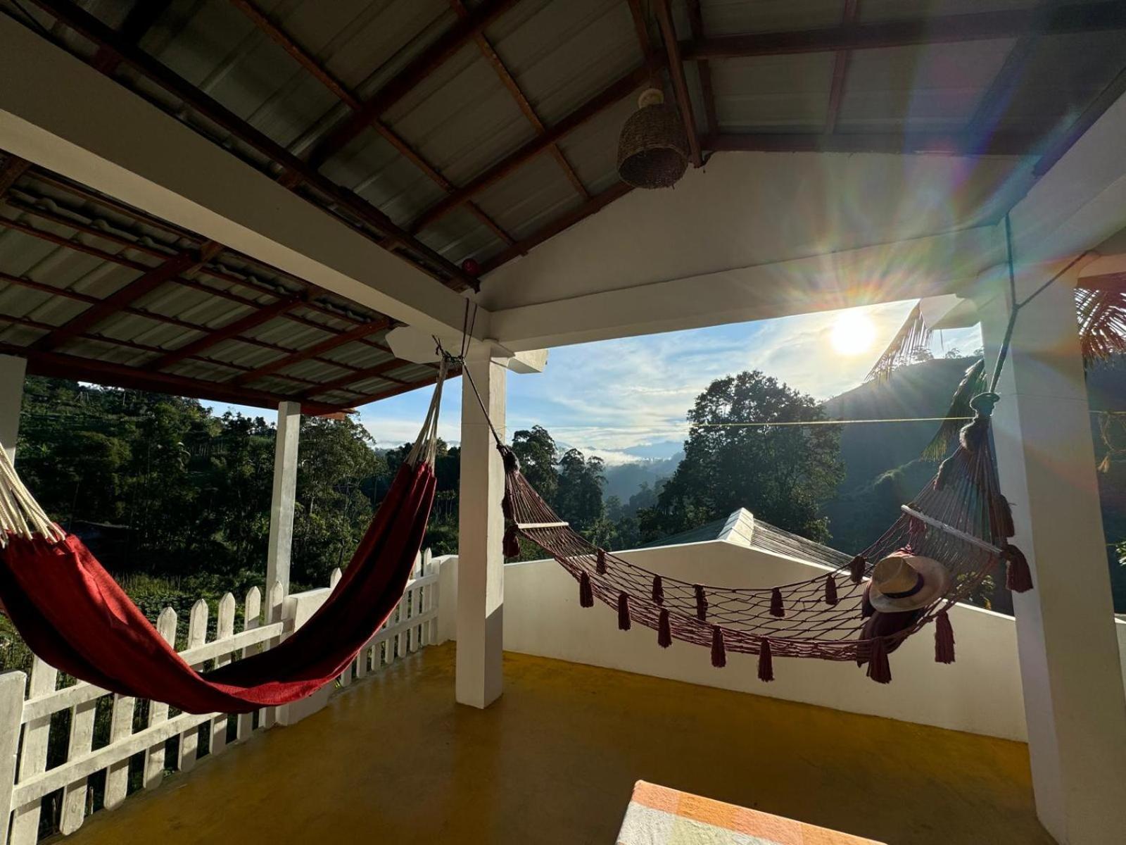 New Farmers Paradise Ella Kamer foto